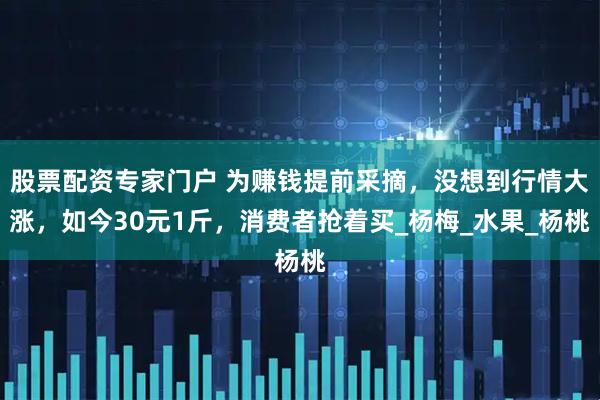 股票配资专家门户 为赚钱提前采摘，没想到行情大涨，如今30元1斤，消费者抢着买_杨梅_水果_杨桃
